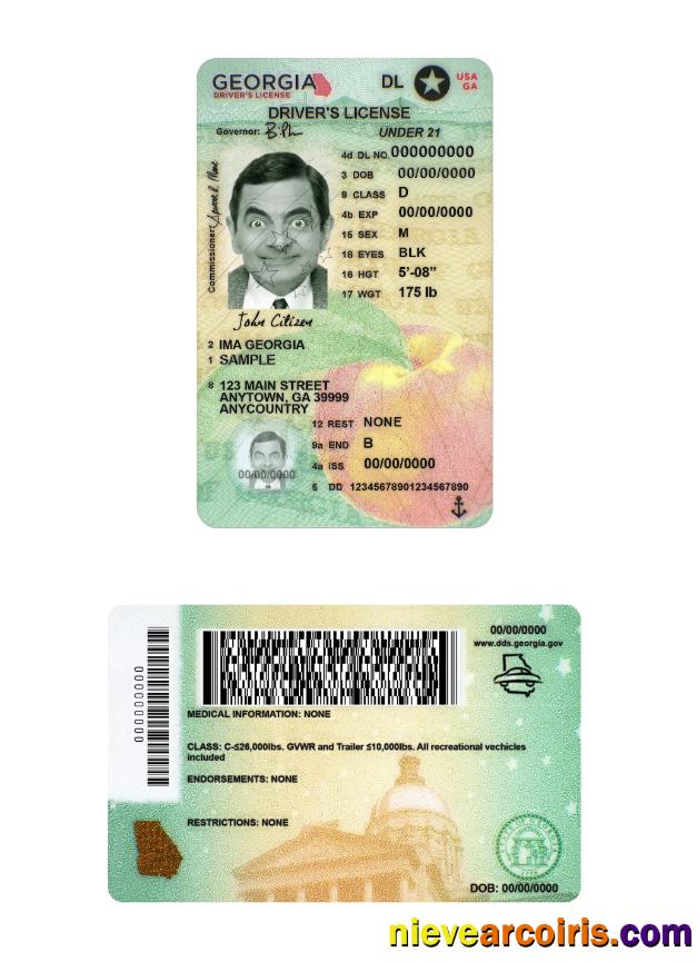 USA Georgia driving license